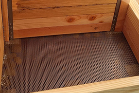 Grille anti rongeurs